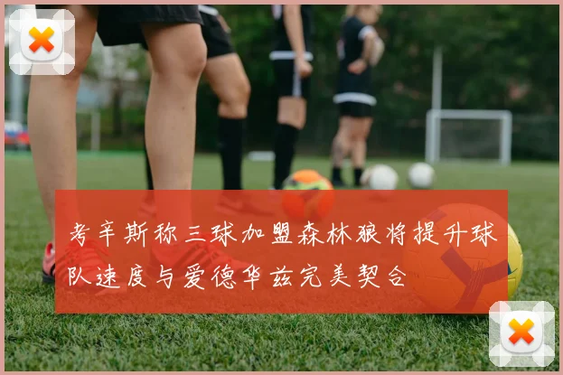 考辛斯称三球加盟森林狼将提升球队速度与爱德华兹完美契合